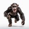Angry Chimpanzee Running - Professional 8k Uhd Photo On White Background