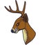 Angry deer head mascot