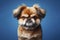 Angry, disgruntled dog on a blue background. ai generative