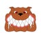 Angry dog face isolated. Evil Bulldog Head. vector illustration