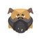 Angry dog in muzzle. Evil Bulldog wearing mask. Home pet aggressive