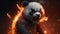 angry fire panda 3d art