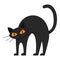 An angry, frowning Black Cat arched his back. Flat cartoon style