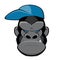 Angry gorilla with a cap