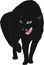 Angry hissing cat vector illustration. the black cat arched its back, hissing and baring its teeth. Halloween cat