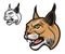 Angry lynx bobcat wildcat cartoon animal mascot