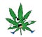 Angry marihuana cartoon