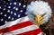 Angry north american bald eagle on american flag