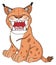 Angry orange lynx