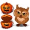 Angry owl and Halloween scary pumpkin face. Vector illustration in cartoon style isolated on a white