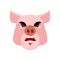 Angry pig. Evil boar. grumpy hog. Aggressive piggy