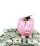 Angry piggy bank with graduation cap