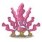 Angry pink seaweed isolated in the cartoon