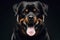 angry Rottweiler dog isolated on black background. ai generative