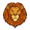 Angry Royal lion. Vector illustration of a wild animal. Angry lion king