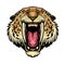Angry Sabretooth lion head