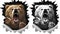 Angry shout bear on white background. Beast claws tearing metal. Two variations in color and monochrome black and white