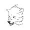 Angry snarling wolf, angry wolf growls, wolf head, vector sketch illustration