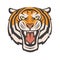Angry tiger image