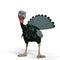 Angry turkey cartoon