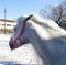 Angry white horse with ears laid back