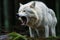 an angry white wolf with its mouth open