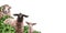 Angular horizontal frame with a composition of sheep and a lamb. Farm animals graze among bushes and haystacks. Digital