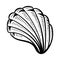 Angular murex seashell hand drawn illustration