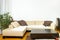 Angular sofa, dinner-wagon, plant, curtains, vase.