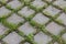 Angular view of grey paving tile with green grass in gaps