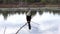 Anhinga female perches near lake