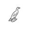 anhinga line icon. signs and symbols can be used for web, logo, mobile app, ui, ux