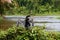 Anhinga in Tortuguero National Park