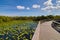 Anhinga Trail Boardwalk in Everglades National Park