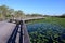 Anhinga Trail boardwalk in Everglades National Park on calm sunny morning.