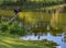 Anhinga Yelling at a Tricolored Heron