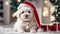animal adorable dog wearing santa hat friendly