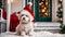 animal adorable dog wearing santa hat friendly season