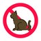 Animal allergy line color icon. Reaction to cat hair. Respiratory disease. Sign for web page, mobile app, button, logo. Vector