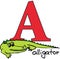 Animal alphabet A (alligator)