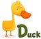 Animal alphabet D for duck