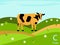 Animal alphabet flash card, C for cow
