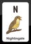 Animal Alphabet Flash Card - N for Nightingale