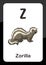 Animal Alphabet Flash Card - Z for Zorilla