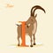 Animal alphabet with ibex