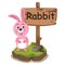 Animal alphabet letter R for rabbit