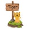 Animal alphabet letter T for tiger