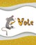 Animal alphabet letter V and vole