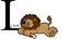Animal Alphabet Lion