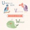 Animal Alphabet. Umbrella bird, Vulture, Whale. Part 6